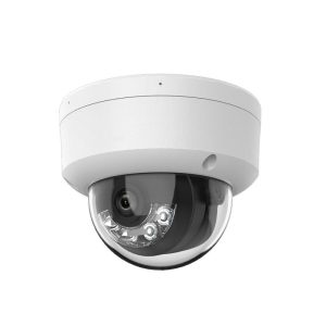 Color Day & Night AI Network Cameras