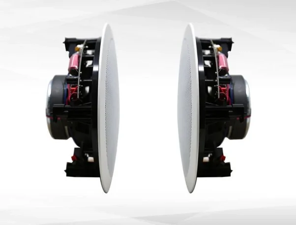 C7V6 Speakers - Image 4
