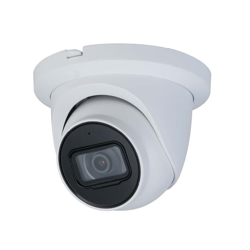 IP Cameras